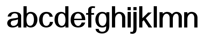 Alido-Bold Font LOWERCASE