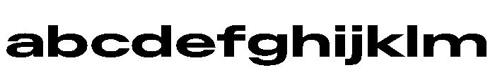 AntarcticaVAR UltraExpandedBold Instance FONT