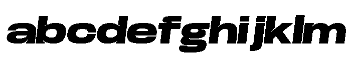 Base Neue Trial Exp Black Obliq FONT