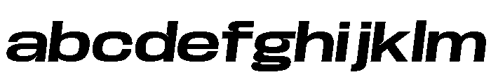 Base Neue Trial Exp Bold Obliq FONT
