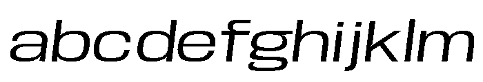Base Neue Trial Exp Obliq FONT