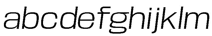 Base Neue Trial Wd Lt Obl FONT