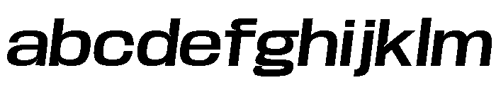 Base Neue Trial Wd SmBd Obl FONT