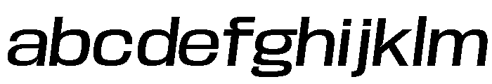 Base Neue Trial Wide Med Obliq FONT