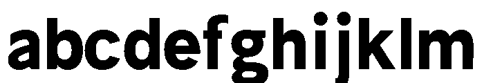Bia Demo Sans Low FONT