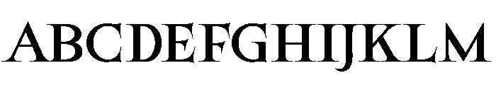 BirtgochePersonalUseOnly-Regula FONT