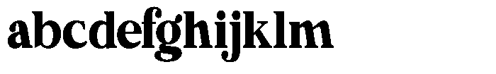 Calgine Serif Variable Calgine Serif Black Semi Condensed FONT