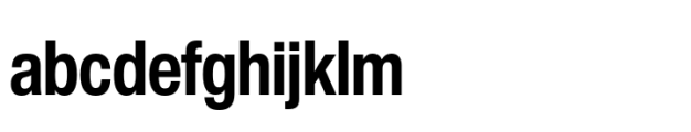 Helvetica Now Pro Display Condensed Bold FONT