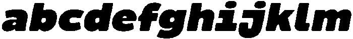 Molia Oblique Black otf (900) FONT