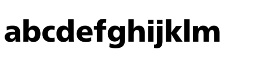 Neue Frutiger Vietnamese Black FONT