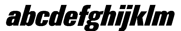Neue Gstaad Condensed Variable Condensed Black Italic FONT