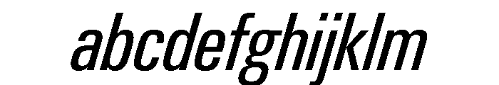 Neue Gstaad Condensed Variable Condensed Italic FONT
