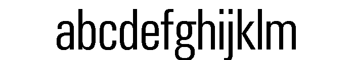 Neue Gstaad Condensed Variable Condensed Light FONT