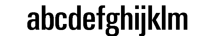Neue Gstaad Condensed Variable Condensed Medium FONT