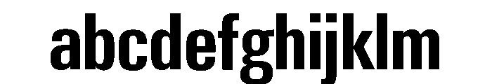 Neue Gstaad Condensed Variable Condensed Semibold FONT