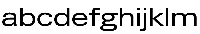 Neue Gstaad Expanded Variable Expanded 3 FONT