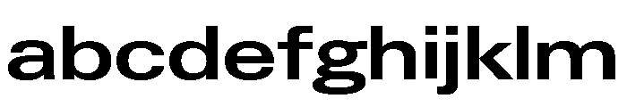 Neue Gstaad Expanded Variable Expanded 5 FONT