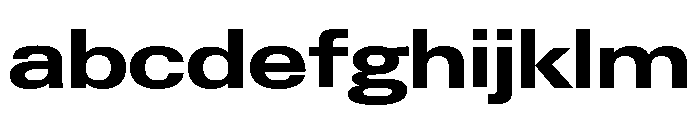 Neue Gstaad Expanded Variable Expanded 6 FONT
