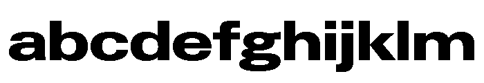 Neue Gstaad Expanded Variable Expanded 7 FONT
