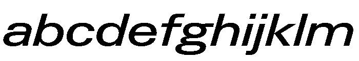 Neue Gstaad Expanded Variable Regular 4 FONT