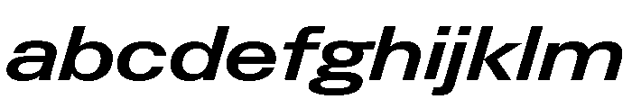 Neue Gstaad Expanded Variable Regular 5 FONT