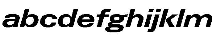 Neue Gstaad Expanded Variable Regular 6 FONT