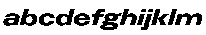 Neue Gstaad Expanded Variable Regular 7 FONT