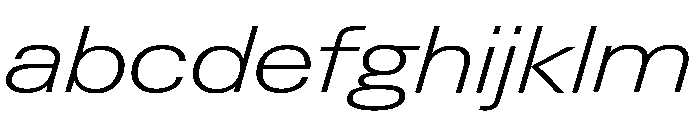 Neue Gstaad Expanded Variable Regular FONT