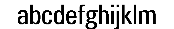 Neue Gstaad Narrow Variable Narrow 3 FONT