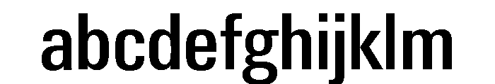 Neue Gstaad Narrow Variable Narrow 4 FONT