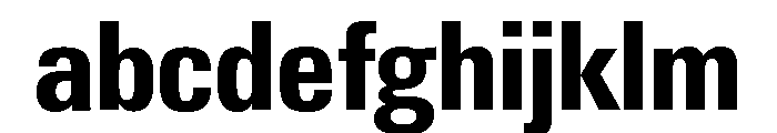 Neue Gstaad Narrow Variable Narrow 6 FONT