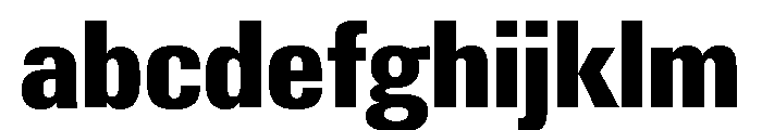 Neue Gstaad Narrow Variable Narrow 7 FONT