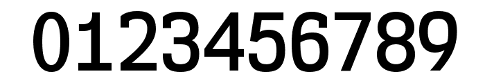 NK57MonospaceScSb-Regular Font OTHER CHARS