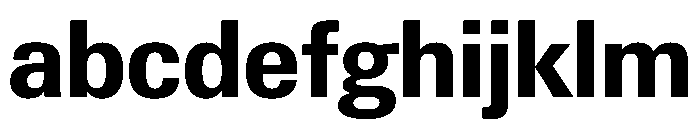 PPNeueGstaadCompact CompactBold Instance FONT