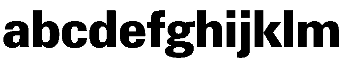 PPNeueGstaadCompact CompactExtrabold Instance FONT