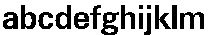 PPNeueGstaadCompact CompactSemibold Instance FONT