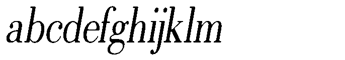 Selmora Soft Condensed Italic FONT