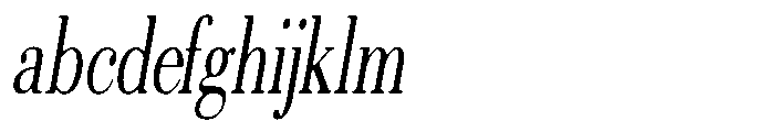 Selmora Soft Extra Condensed Italic FONT