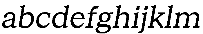 STKBureauSerif BookItalic FONT