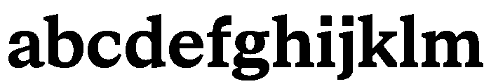 STKBureauSerifCollection Bold Instance FONT