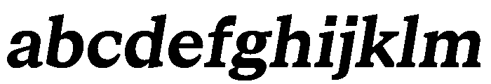 STKBureauSerifCollection BoldItalic Instance FONT