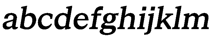STKBureauSerifCollection MediumItalic Instance FONT
