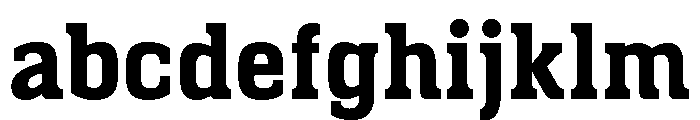 Wigners Friend Roman FONT