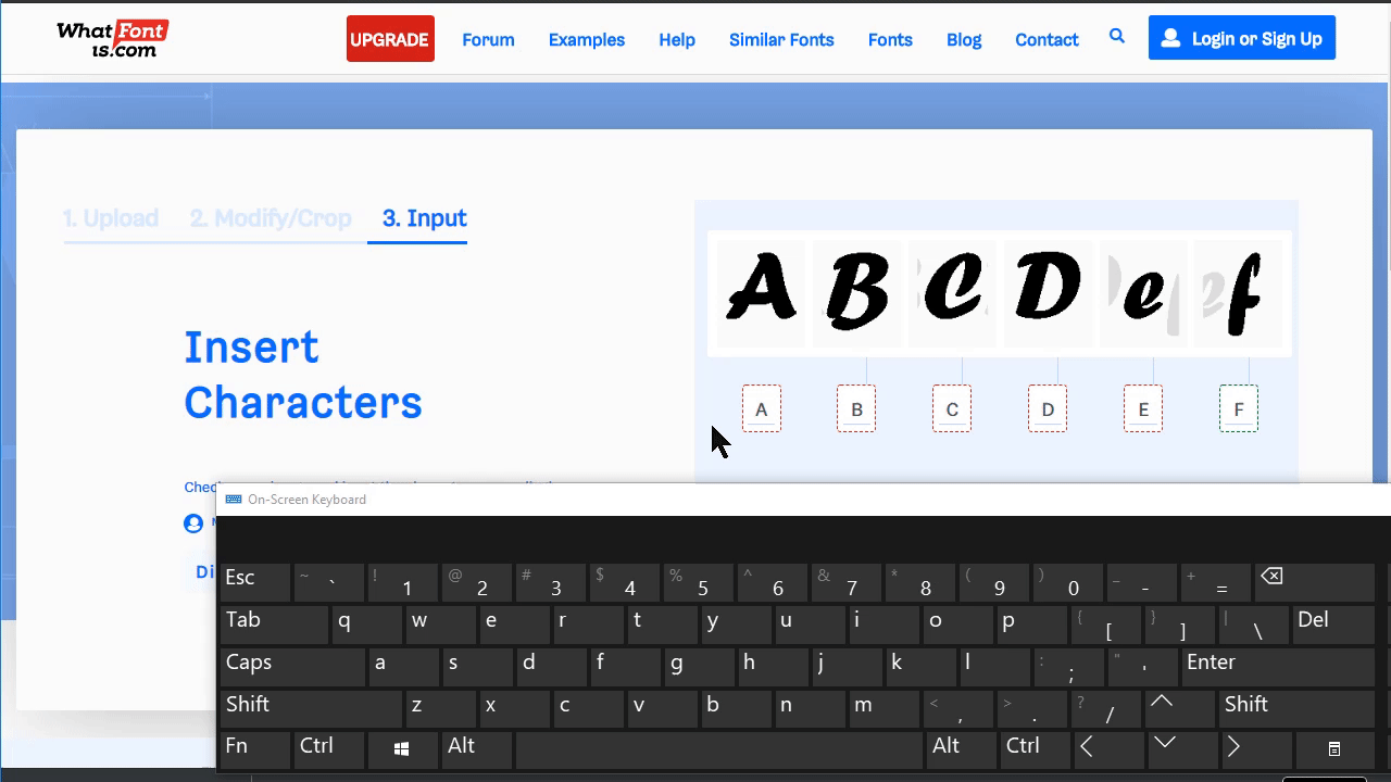Convert all letters to lowercase