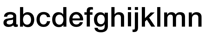 .Helvetica Neue ATV Font LOWERCASE
