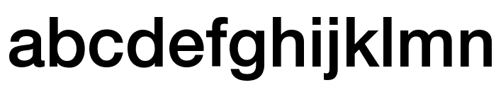 .Helvetica Neue Interface Medium P4 Font LOWERCASE