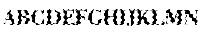 ABCTech Bodoni Wave Font UPPERCASE