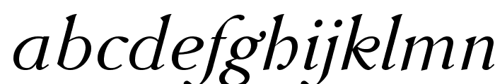 AccanthisADFStd-Italic Font LOWERCASE