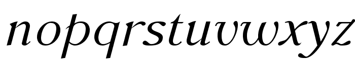 AccanthisADFStd-Italic Font LOWERCASE