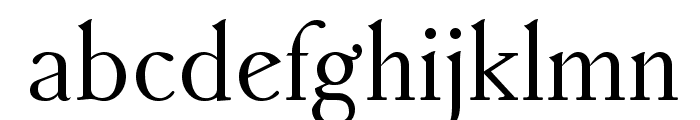 AccanthisADFStdNo2-Regular Font LOWERCASE